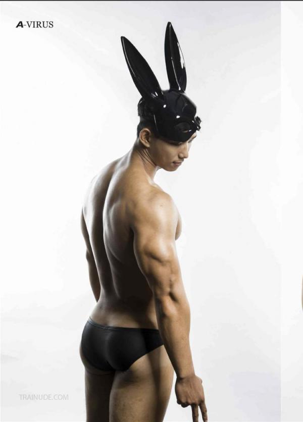 A-VIRUS-vol.04--ebook--video